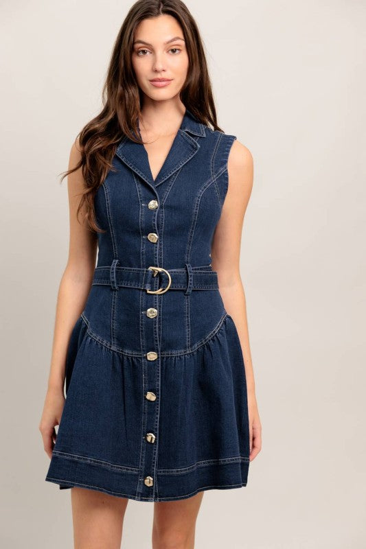 Nikki 2.0 Denim Mini Dress