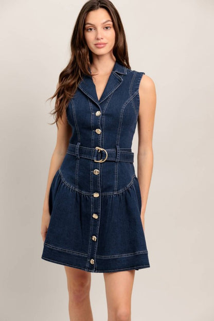 Nikki 2.0 Mini Denim Dress